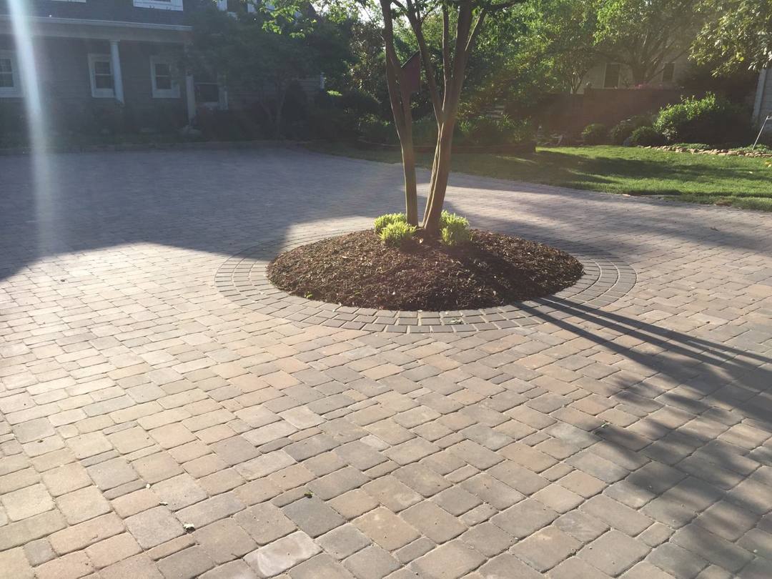 Paver driveway around a tree island planting bed